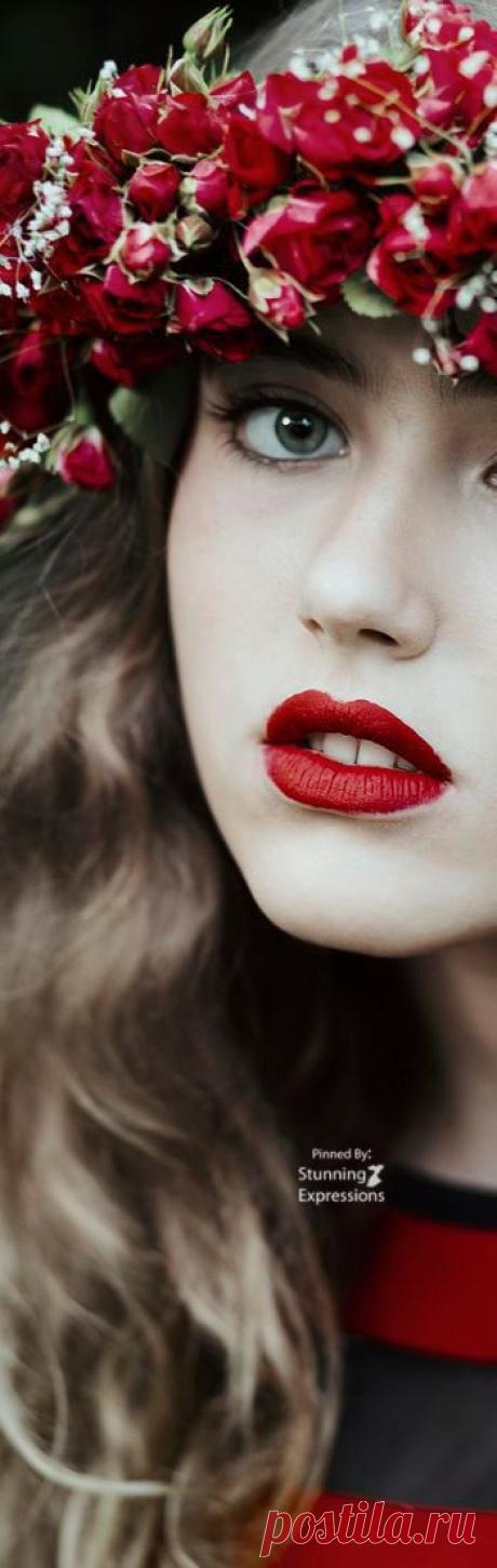 (328) Pinterest