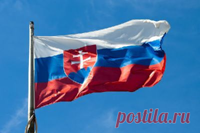 Словакия впала в ступор от претензий Украины | Внешнеэкономические связи
#Словакия просто не знала, с кем связывается. #Украина теперь так просто с нее не слезет. Разве можно давать палец тому, кто по шею руку отгрызает?
