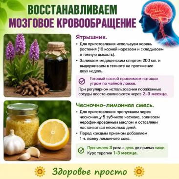 Восстанавливаем мозговое кровообращение