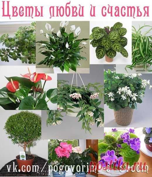 Женские посиделки - дети, рецепты, красота...)))