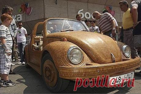 Дубовый чешуйчатый «Volkswagen Beetle»