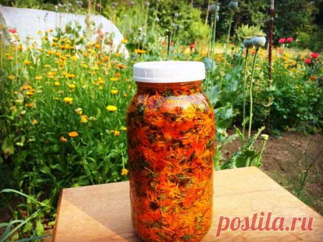 Масло календулы - целебное средство, ценное и проверенное. Сделайте обязательно! Это прекрасное целебное средство первой помощи при многих заболеваниях. Оно обладает противовоспалительным, бактерицидным и дезинфицирующим действием. Масло применяется наружно при язвах, порезах, ожогах и обморожениях в виде масляных повязок. Оно используется для ежедневной защиты кожи любого типа от агрессивного воздействия окружающей среды в любое время года – зимой и летом. Масло надежно защищает кожу от …