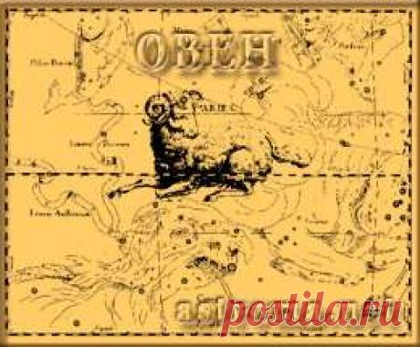 Читать книгу Досье на знаки зодиака (Эзотерика Автор неизвестен -) (1-я страница) - большая электронная библиотека