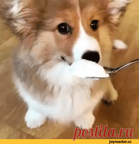 Классные гифки)