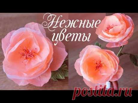 Всем привет! В  комментариях к прошлым видео писали, чтобы я сняла видео как сделать цветы из крепированной бумаги, и я хочу поделиться с Вами как можно сделать такие красивые цветы из крепированной бумаги. 

Желаю приятного просмотра!
♡ Я в ВК https://vk.com/bukety43
Добавляйтесь в друзья 

♡ Подписывайтесь на мой Instagram https://www.instagram.com/alina.love.diy