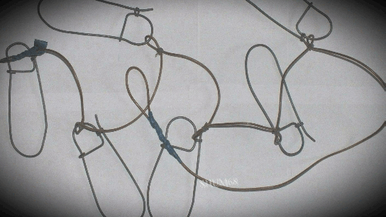 ✔ Крупная рыба на кукане