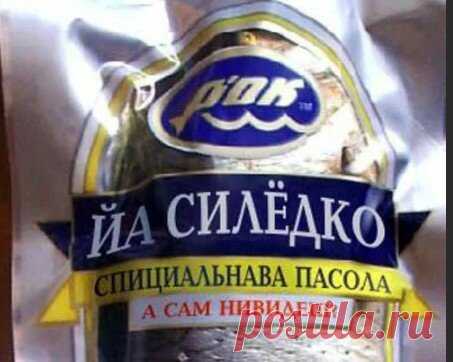 «Ёржык туалетный», «сильотка» и еще 16 смешных примеров знания русского языка взрослыми | Одна минутка | Яндекс Дзен