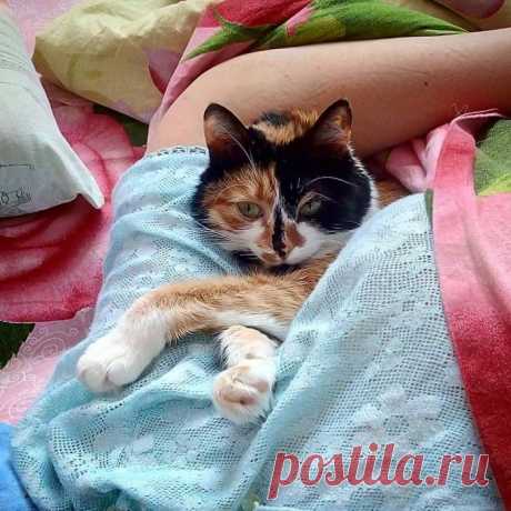 ЗаМУРчательное утро!