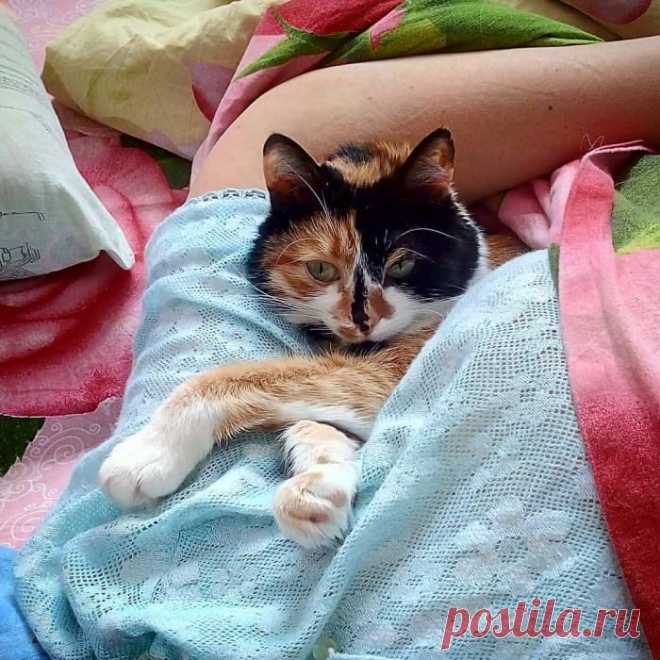 ЗаМУРчательное утро!