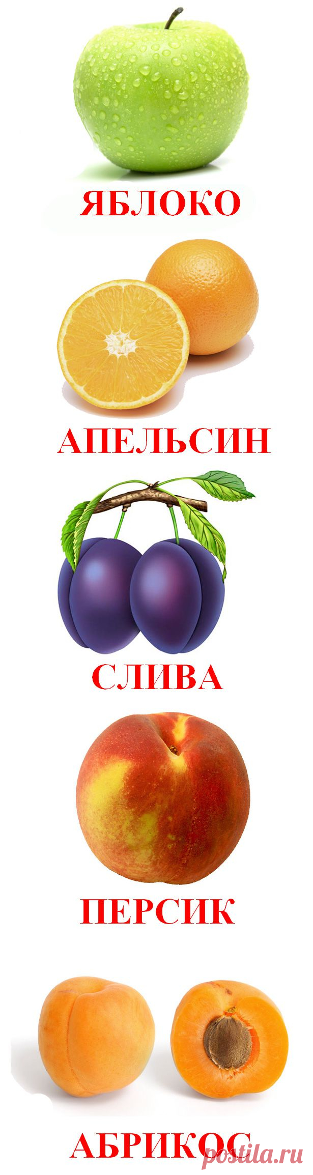 Делаем карточки Домана своими руками | Играем и развиваемся