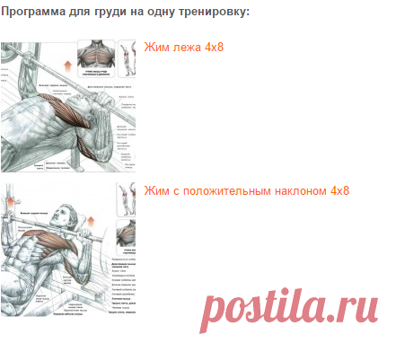 Программа для груди | Sport - My Way