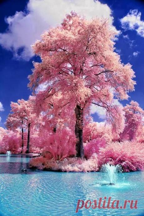 ЮЖАНКА - Google+