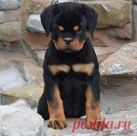 Pipe delay effect Credit: Armin Küpper - 9GAG