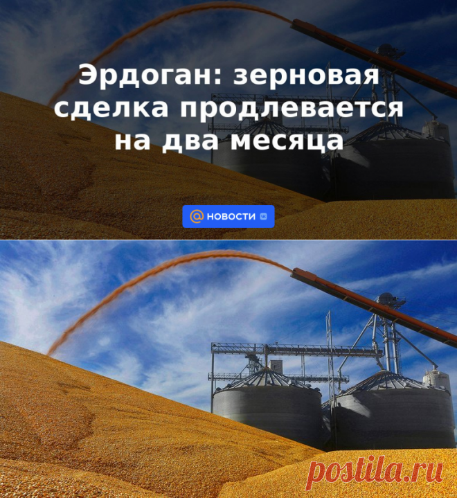 Эрдоган: зерновая сделка продлевается на два месяца | 17 мая 2023 - Новости Mail.ru