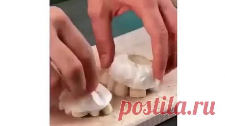 Век, живи, век учись...