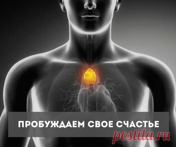 ПРОБУЖДАЕМ СВОЕ СЧАСТЬЕ!!!

Что для вас есть- счастье? Ведь каждый чувствует его по-своему. Но, те импульсы и внутреннее тепло, наполняющее каждую клеточку нашего тела, не сравнимо ни с чем. Блаженство, хочеться дарить свет окружающим и начинаешь замечать, что жизнь, это радуга.
=======================
 Существует ли 