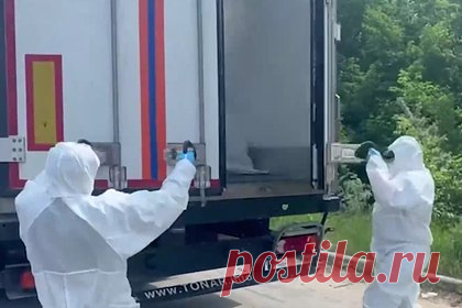 В России высказались о причинах переноса приемки тел и обмена пленными со стороны Киева