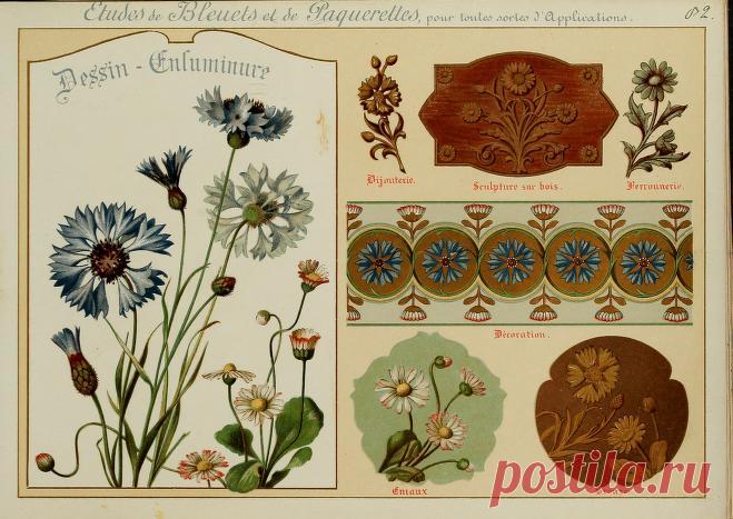 Fleurs d'après nature et fleurs ornementales : études de fleurs et feulliages avec diverses interprétations applicables à l'enluminure et à la décoration : Guillot, Ernest : Free Download, Borrow, and Streaming : Internet Archive