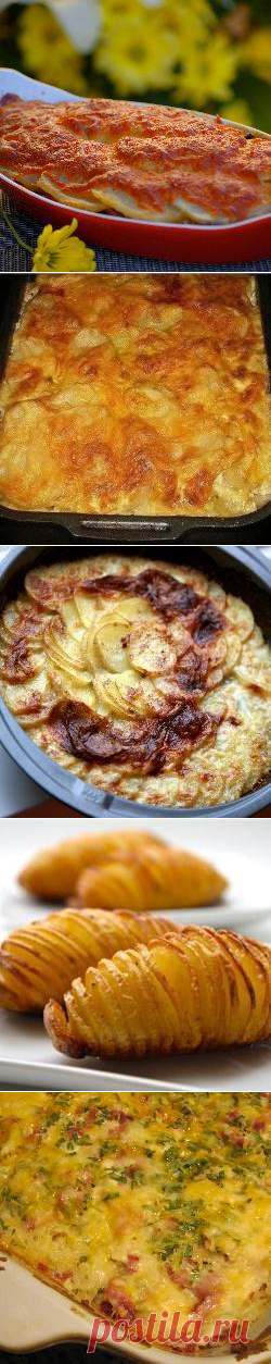 Картофельные запеканки - Все рецепты России