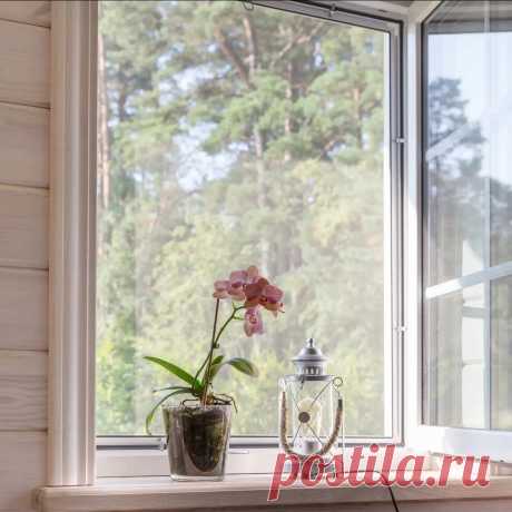 🏡 Москитные сетки от производителя под ключ по вашим размерам
💎 Качественные материалы 😲 Большой опыт работ 💖 Приятные цены
🌍 Санкт-Петербург, улица 2-ой Луч, дом 8, офис 3 📞 +7(812)467-47-55