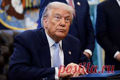 Трамп ответил журналистке фразой «тихо, свинка»