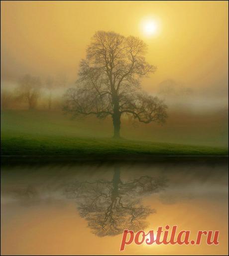 When two worlds collide | Tree &amp; Path