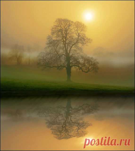 When two worlds collide | Tree & Path