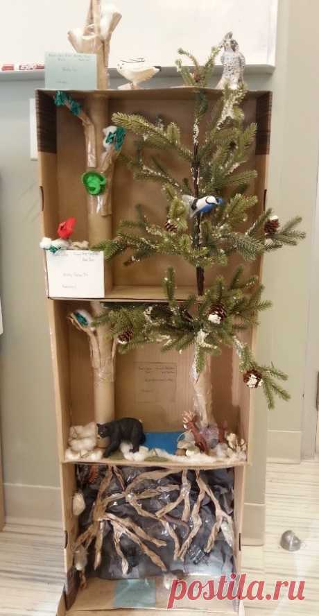 Для вдохновения!
Детям очень нравятся диорамы! И их использование в природных уголках позволяет привлечь к обучению!
Приводим несколько идей для многоуровневых диорам, которые более полно помогают показать многообразие природы.
i-shag.ru - мы за интересное обучение!