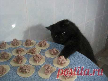 Как подпишем это фото?