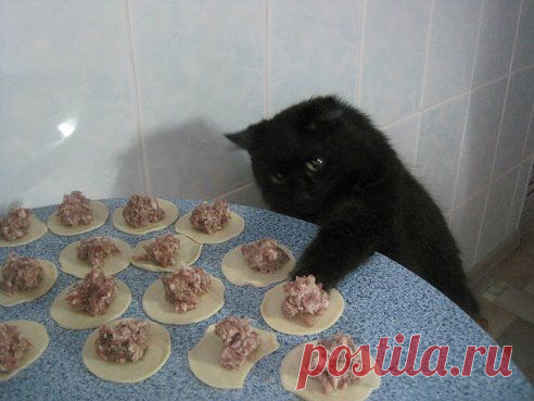 Как подпишем это фото?