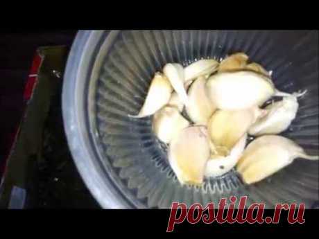 ازرعوا الثوم فى المنزل بطريقه سهله وبسيطه