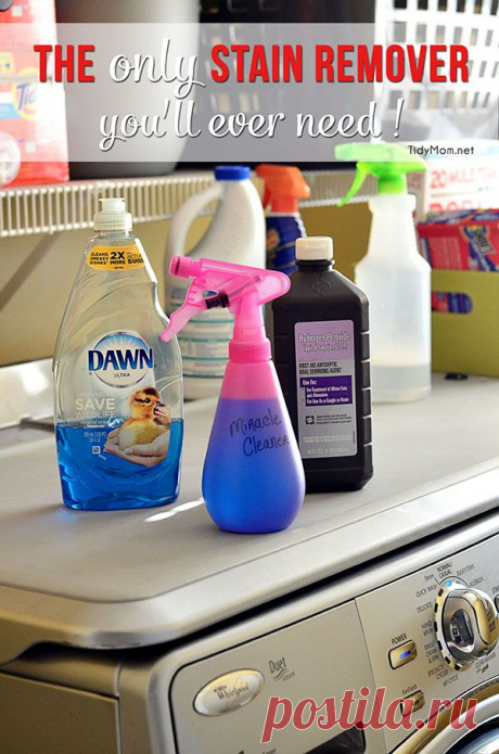 Homemade Miracle Cleaner | TidyMom