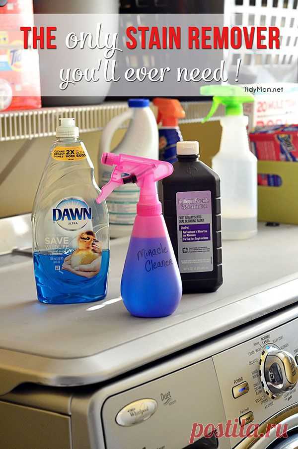 Homemade Miracle Cleaner | TidyMom