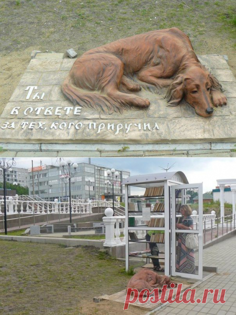 Памятник грустной брошенной собаке установили в Сосновоборске. | Все о наших питомцах
