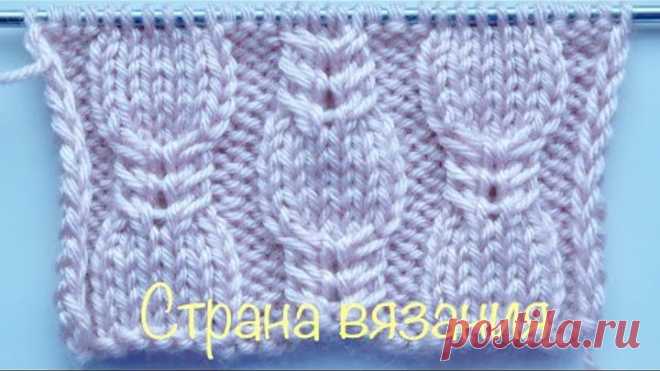 Узоры спицами. Узор с косами для шапок.