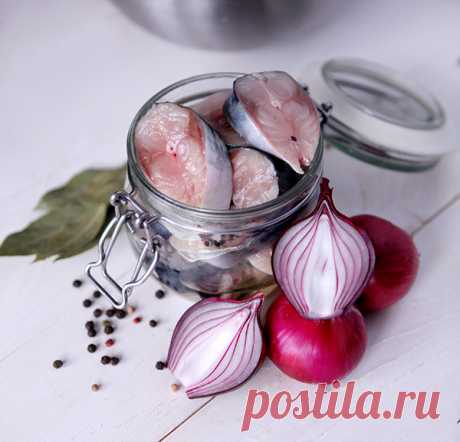 МАЛОСОЛЬНАЯ СКУМБРИЯ ЗА 3 ЧАСА