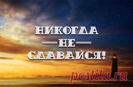Елена Александрова