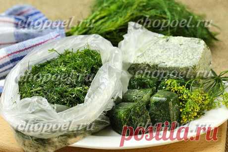 Как заморозить укроп на зиму – три способа заморозки | chopoel.ru