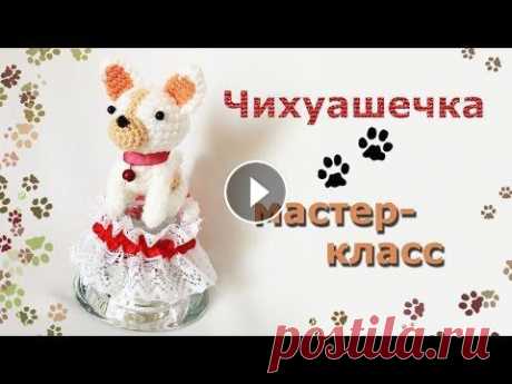 Мастер-класс Собачка амигуруми./Master-class amigurumi dog. В этом мастер-классе научимся вязать собачку, в данном случае - это чихуахуа. Вариантов породы и расцветок огромное количество, а в этом мастер-классе...