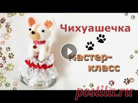 Мастер-класс Собачка амигуруми./Master-class amigurumi dog. В этом мастер-классе научимся вязать собачку, в данном случае - это чихуахуа. Вариантов породы и расцветок огромное количество, а в этом мастер-классе...