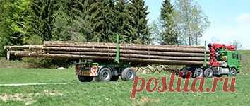 Работа для Лесовозов и Хлыстовозов 
работа по вывозки леса 50.000 куб заготовлено.
пос Андра (Приобье)- Нягань 
Плечо; 100-200 км.
Переправа через реку по зимнику.
потребность 5 хлыстовозов.лесовозов.
Запрс ставки за куб перевозки.
http://special-service.info/
frizen196910@mail.ru
89045471839.89638564422.