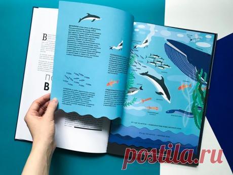 «В океане жизнь существует повсюду: на каждом уровне, от поверхности до самых придонных глубин, ест свои обитатели. В световой зоне — на глубине до двухсот метров, куда проникает достаточно солнечного света, — условия для жизни растений и всевозможных организмов благоприятны. На этом &quot;этаже&quot; сосуществуют фитопланктон, посидония, водоросли, кораллы — все то, чем питаются большинство морских жителей. За световой зоной следует сумеречная зона. Света сюда проникает очень мало, поэтому и…