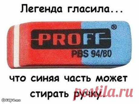 Фотоприколы дня