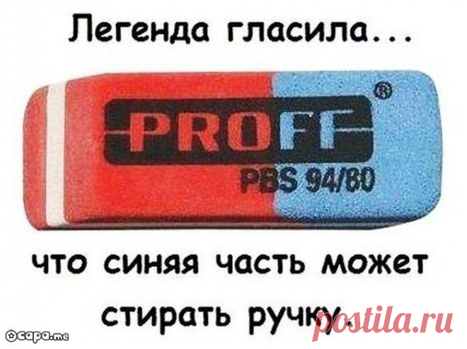 Фотоприколы дня
