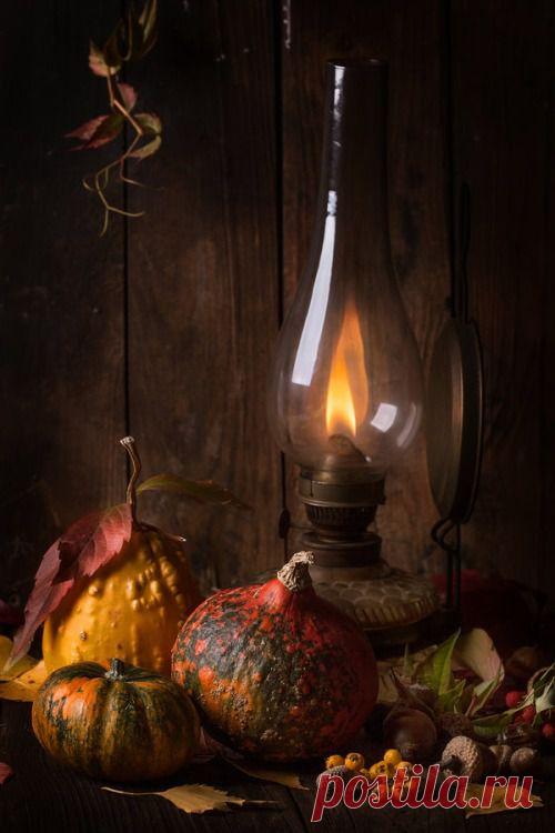 Автор Larry Ratt