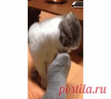 Изображения в записи сообщества