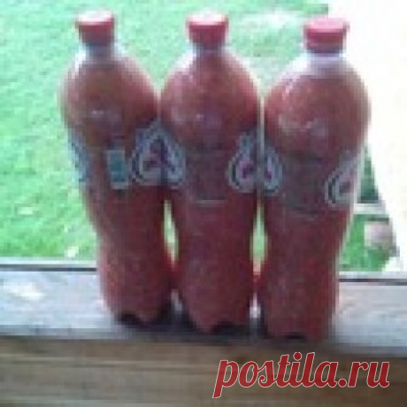Аджика "Привет из Дагестана" Кулинарный рецепт