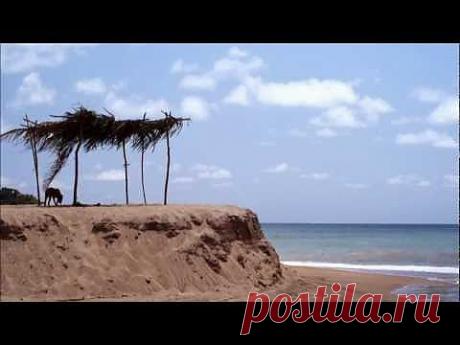 Красивая природа