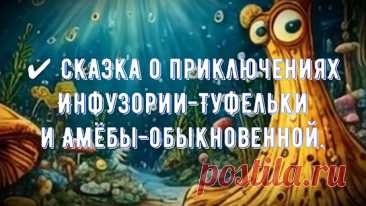 Две подруги отправляются в школу. Туфелька, обладая быстрым темпом, обгоняет медлительную Амёбу, которая передвигает свои ложноножки.