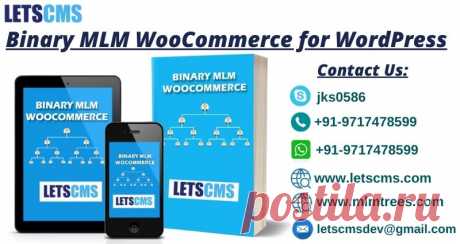 Binary MLM WooCommerce (BMW) is a WordPress plugin for multi-level network marketing with all advanced features &amp; services. MLM is a simple and efficient way of earning unlimited by investing a small capital and Binary MLM WooCommerce is the door to your success. LetsCms Pvt Ltd. presents a new product for the Multi-Level Marketing business by introducing a WordPress plugin of BMW. LetsCms offers you to purchase its web software and all related services at affordable prices.